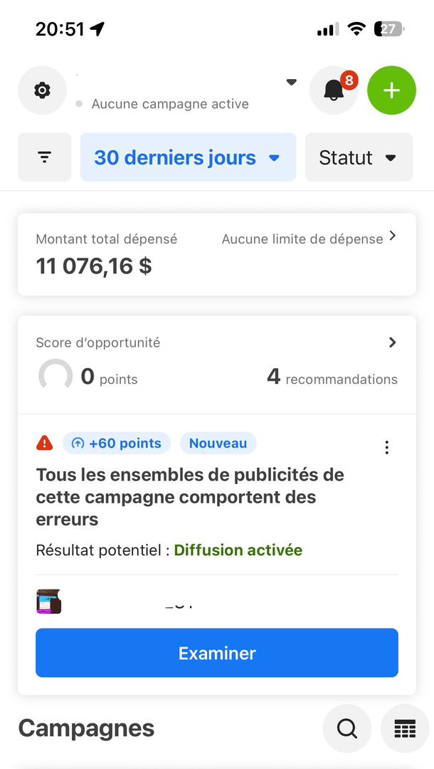 Application Meta Ads : dépenses publicitaires